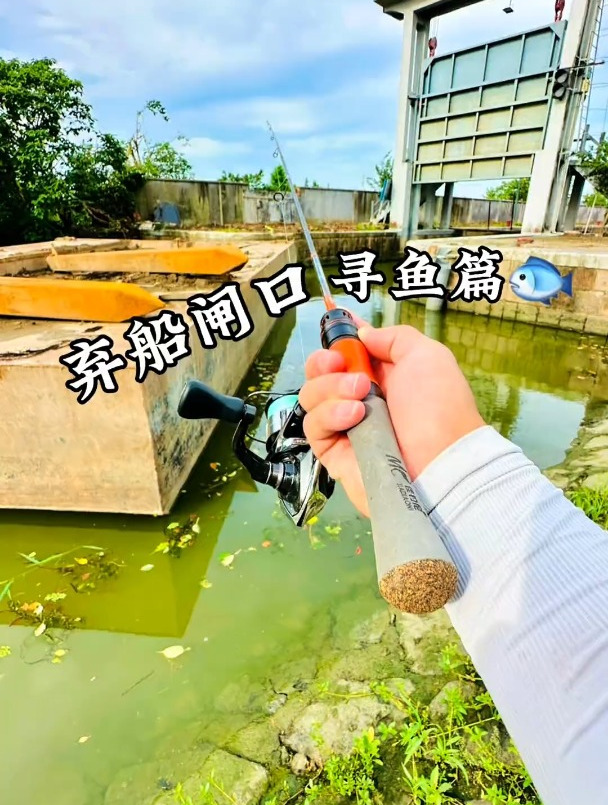 弃船闸口寻鱼篇啊!