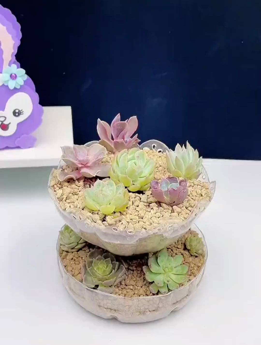 捡来的油桶,做了个双层小花盆