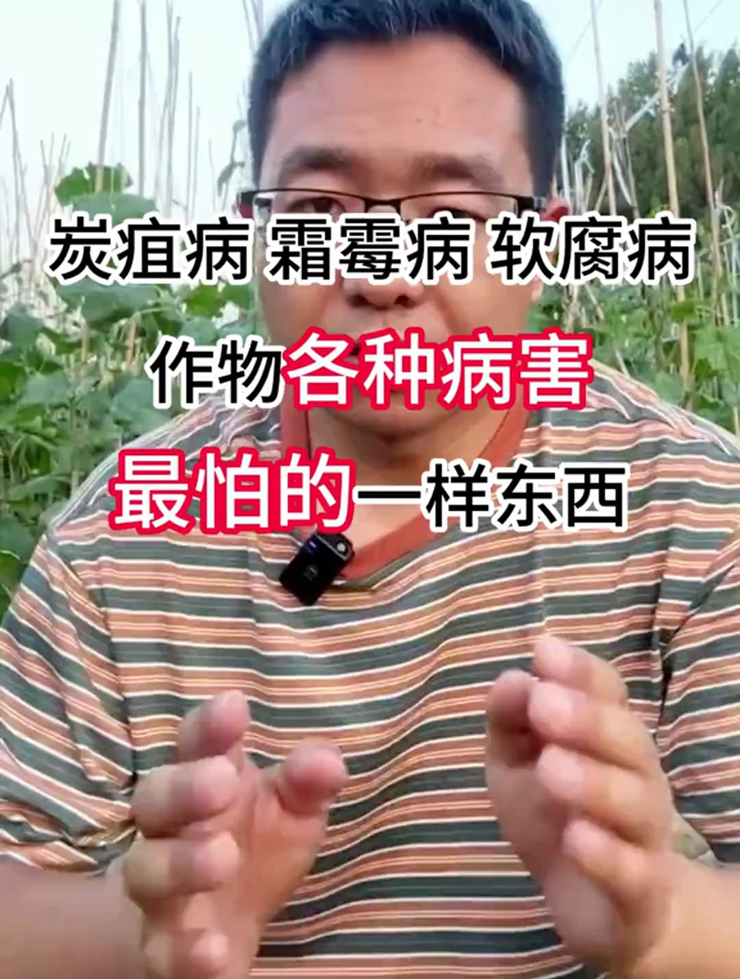 炭疽病,霜霉病,软腐病,作物各种病害最怕的一样东西