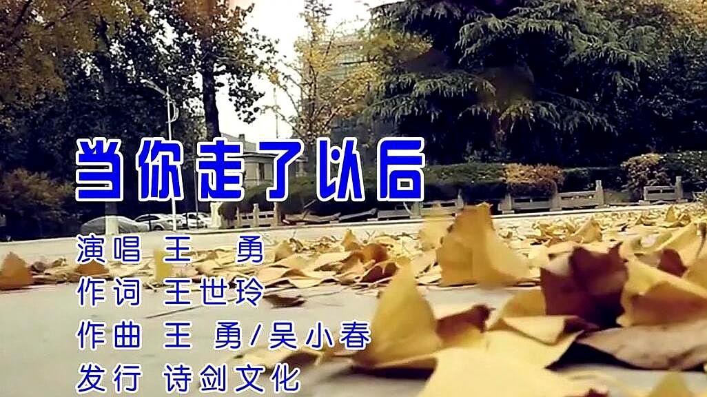 [图]当你走了以后-王勇