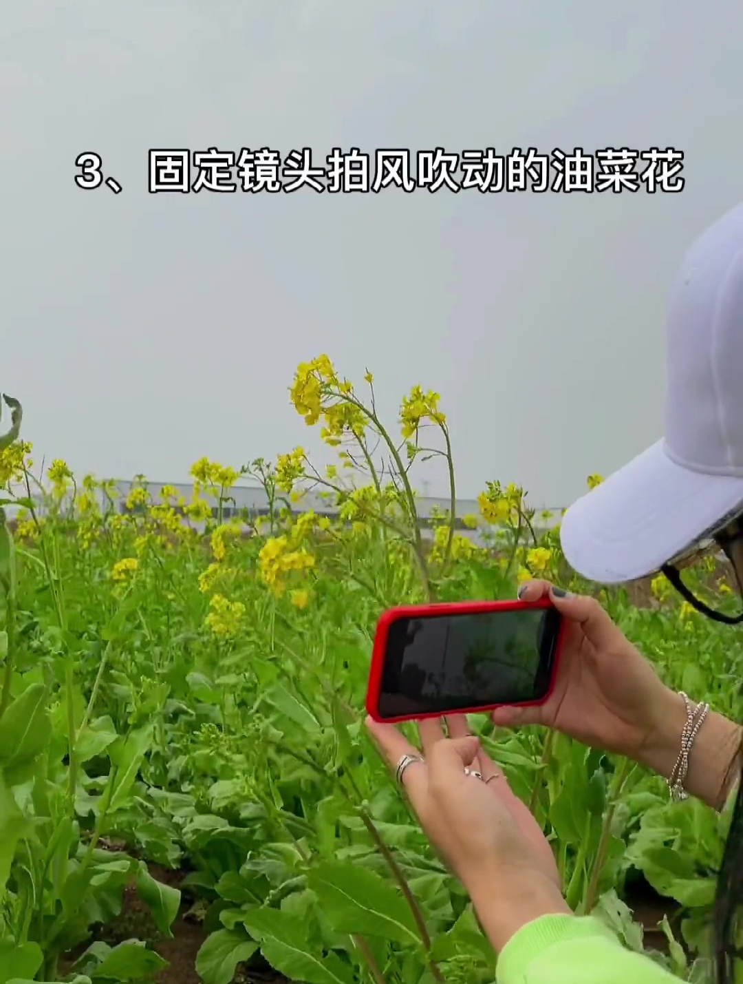 路边的油菜花用这几个技巧拍出旅行日记短片