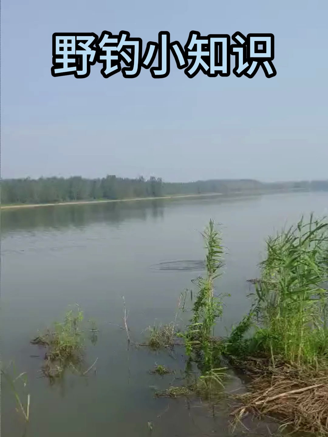 钓鱼一定要找好鱼道,才能鱼竿提到手软!
