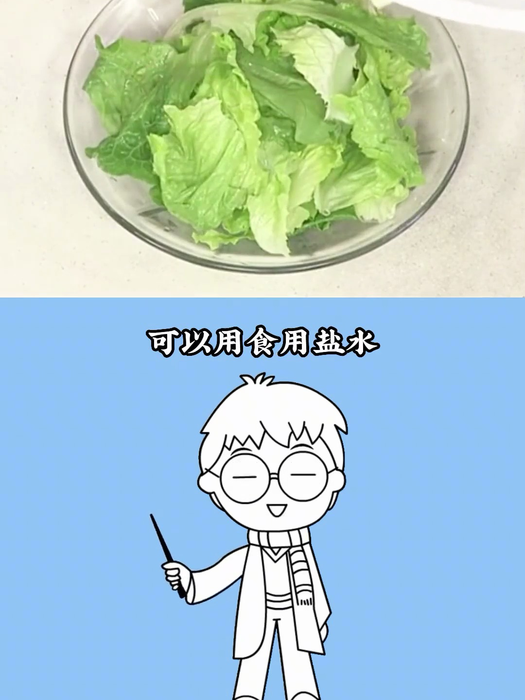 减脂期吃生菜 一起吃瘦不饿瘦