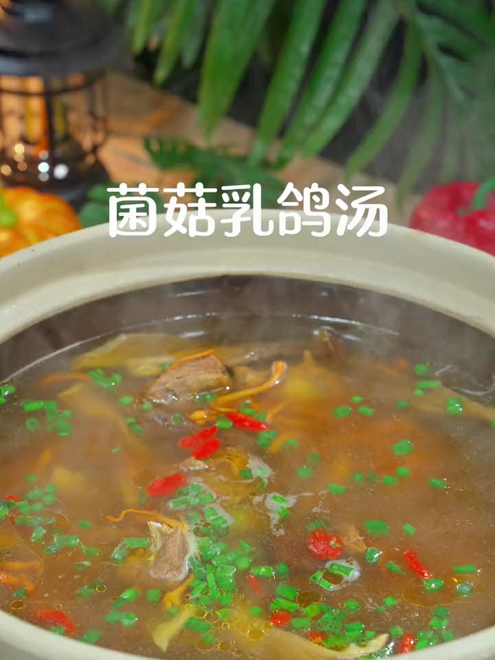 营养丰富的菌菇乳鸽汤
