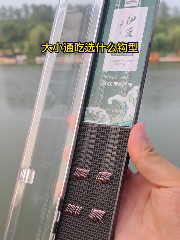 大小通吃的歪嘴伊豆鱼钩,刺鱼率更高