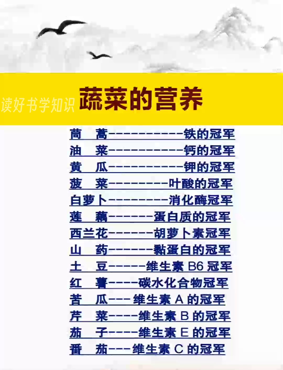 蔬菜藏着哪些营养秘密?吃对蔬菜有啥好处?快来了解蔬菜营养