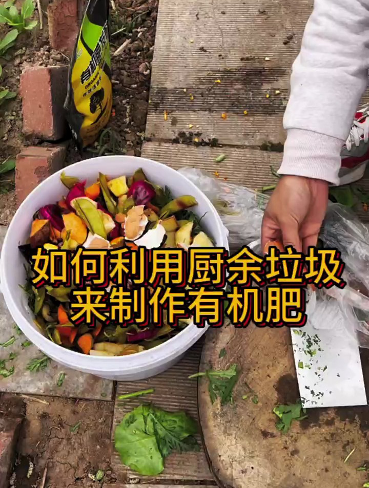 家里厨余垃圾和烂菜叶子不要扔,我们可以用来制作养花种菜的肥料