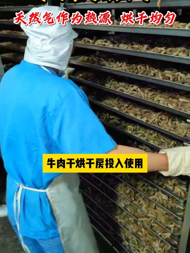牛肉干烘干房-天然气烘干房厂家 四川新川优创烘干房