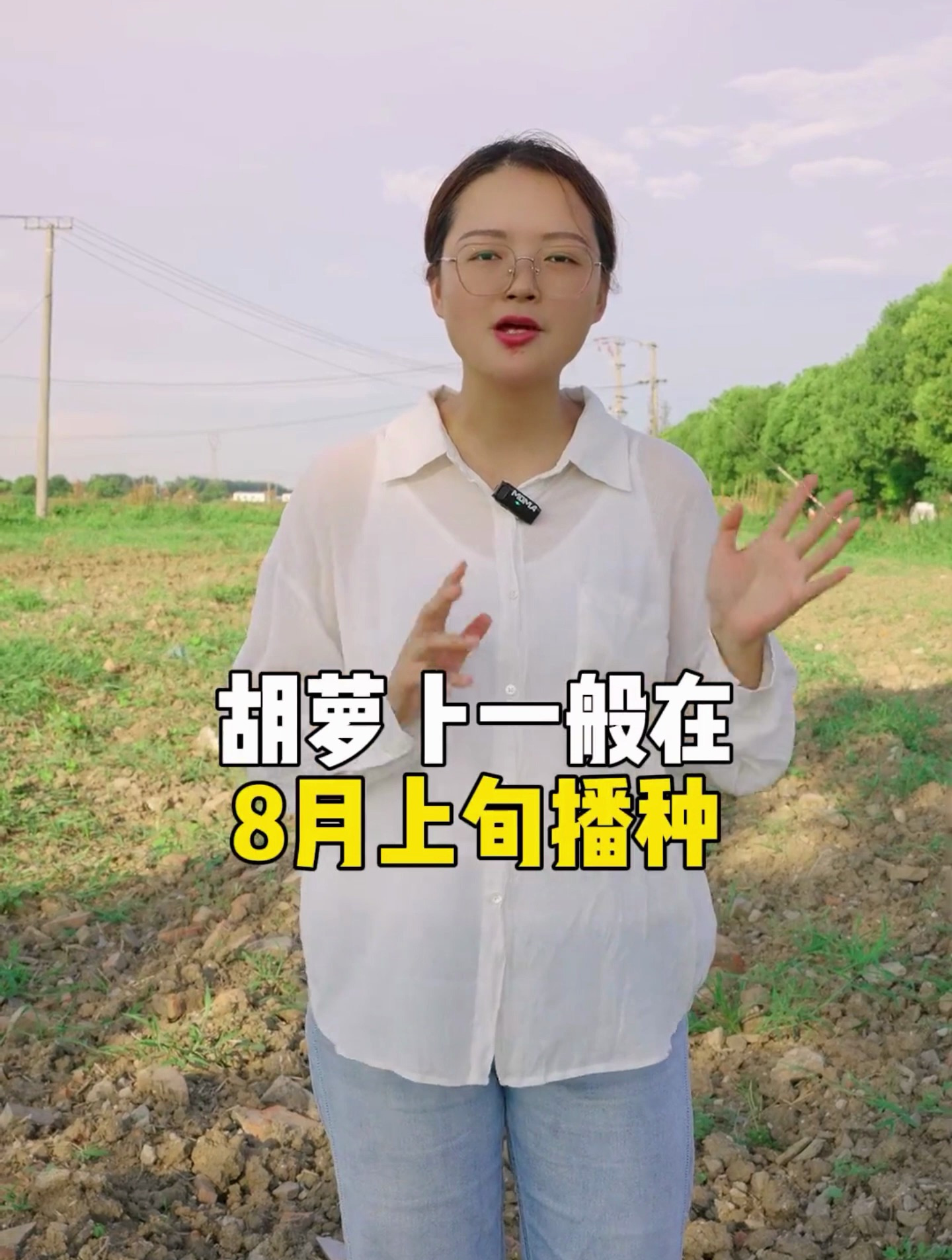 秋季种菜大全,24种蔬菜够你种一整个秋天了