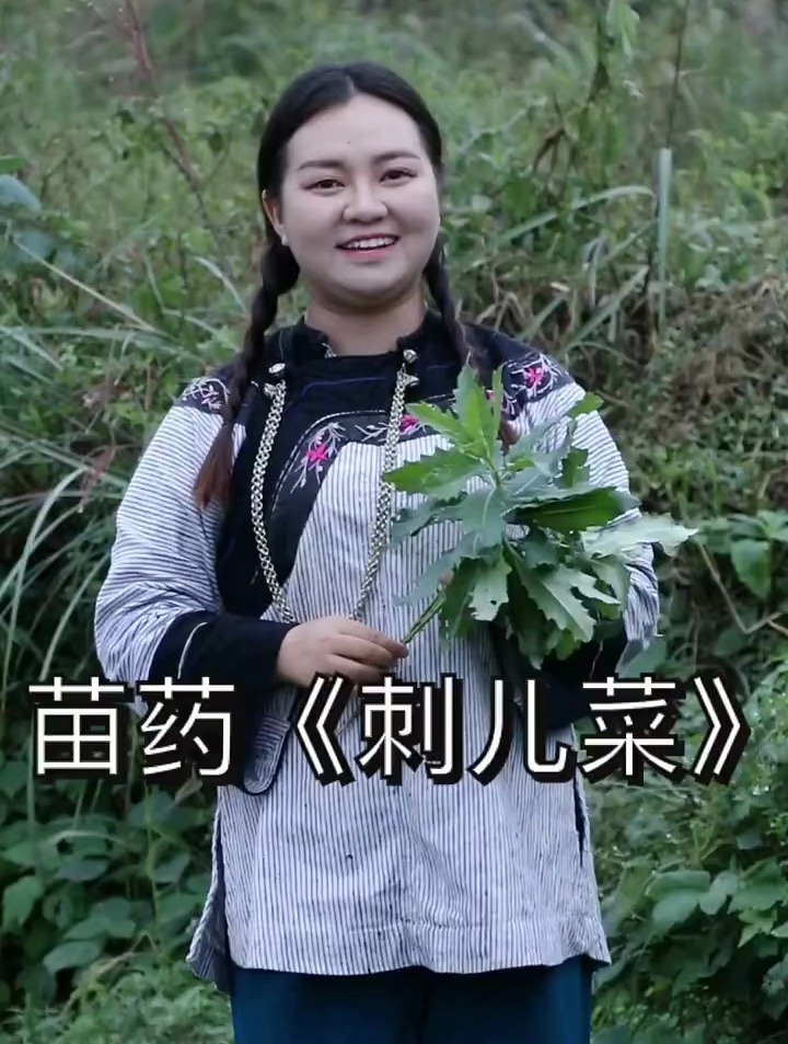 家人们!刺儿菜你们吃过吗?