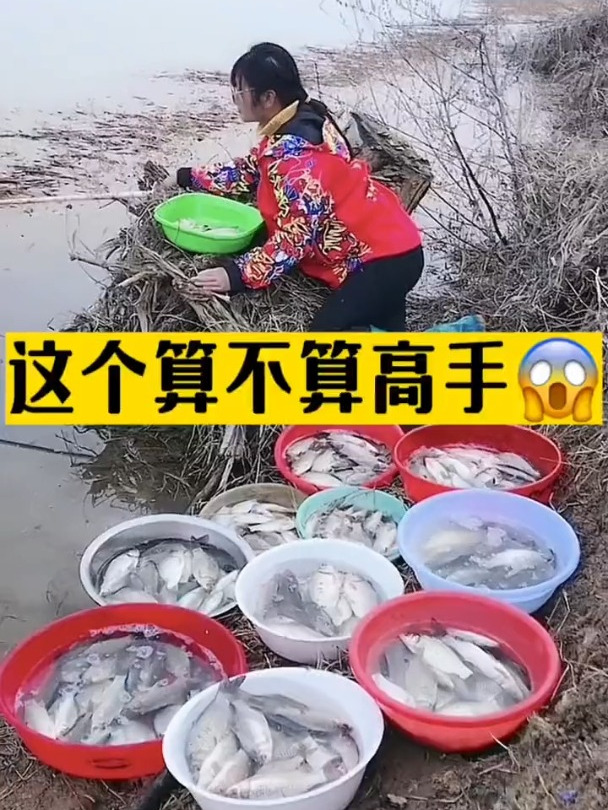 大嫂每次钓鱼都能钓得盆满钵满!一再追问下竟然是使用了泥鳅饵?