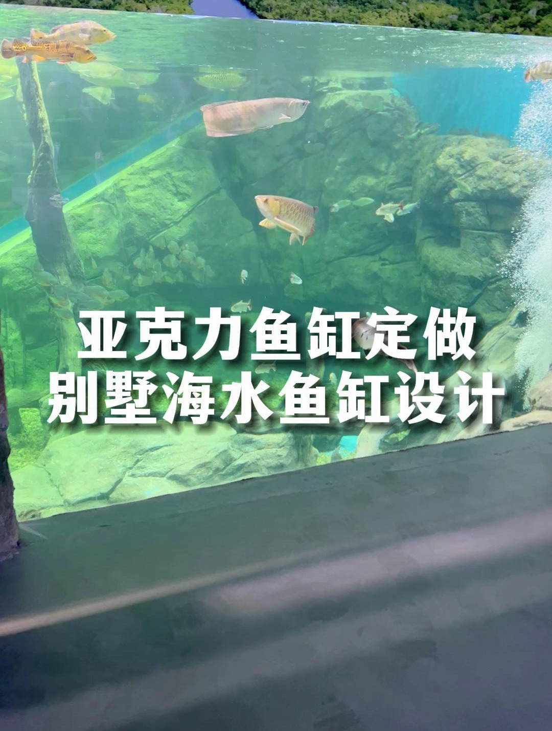 别墅海水鱼缸设计,大型鱼缸制作 作