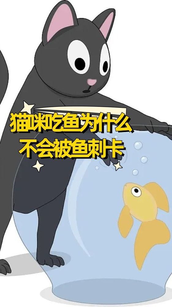 猫吃鱼为什么不会被鱼刺卡住