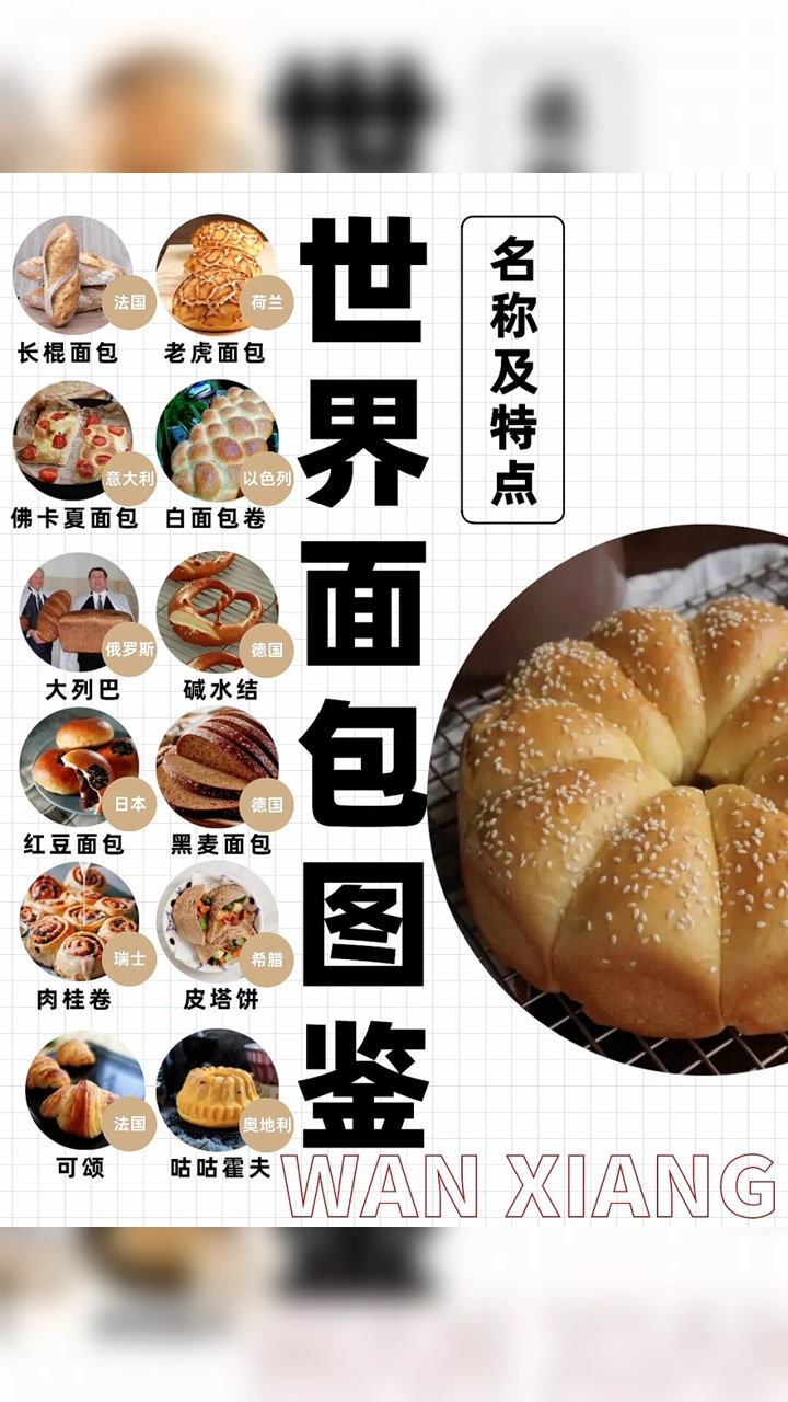 世界面包特点名称及口感介绍第一弹