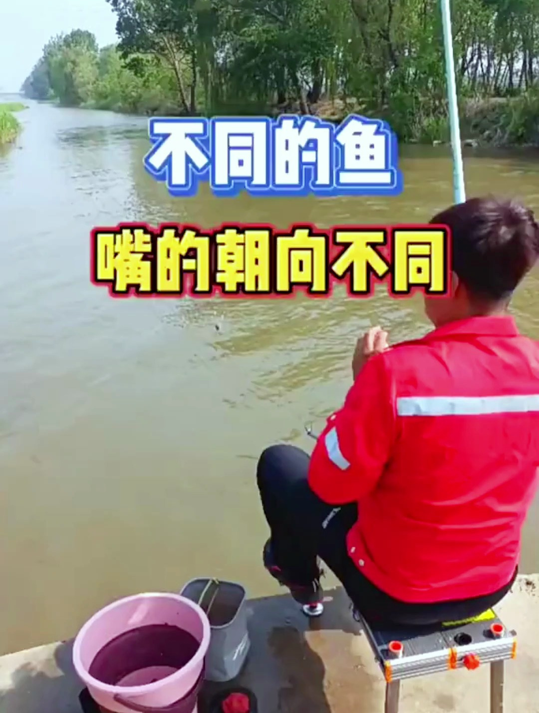 鱼的种类不同,嘴巴的朝向也有所不同