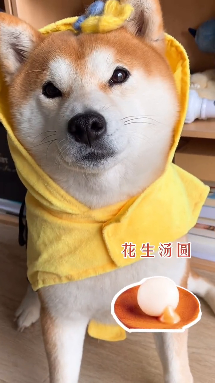 汤圆有人吃吗?汤圆变装有人看吗?