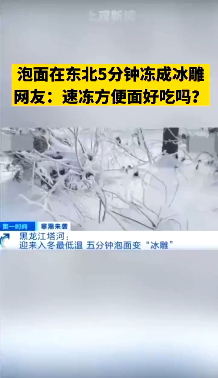 泡面在东北5分钟冻成冰雕 网友:速冻方便面好吃吗?