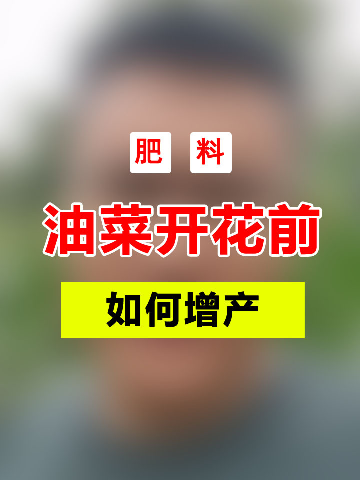 油菜开花前能打磷酸二氢钾吗,如何增产