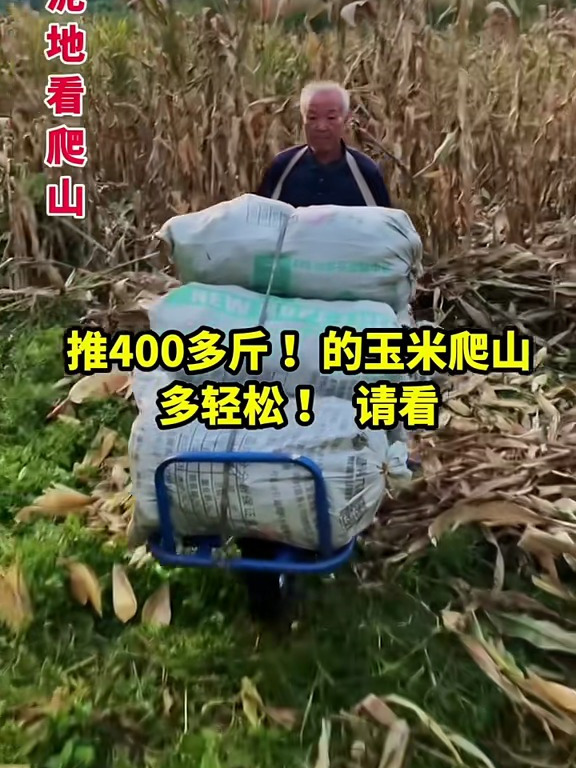 想不到还有这么好用的电动独轮鸡公车,一次可拉400斤,他实用了