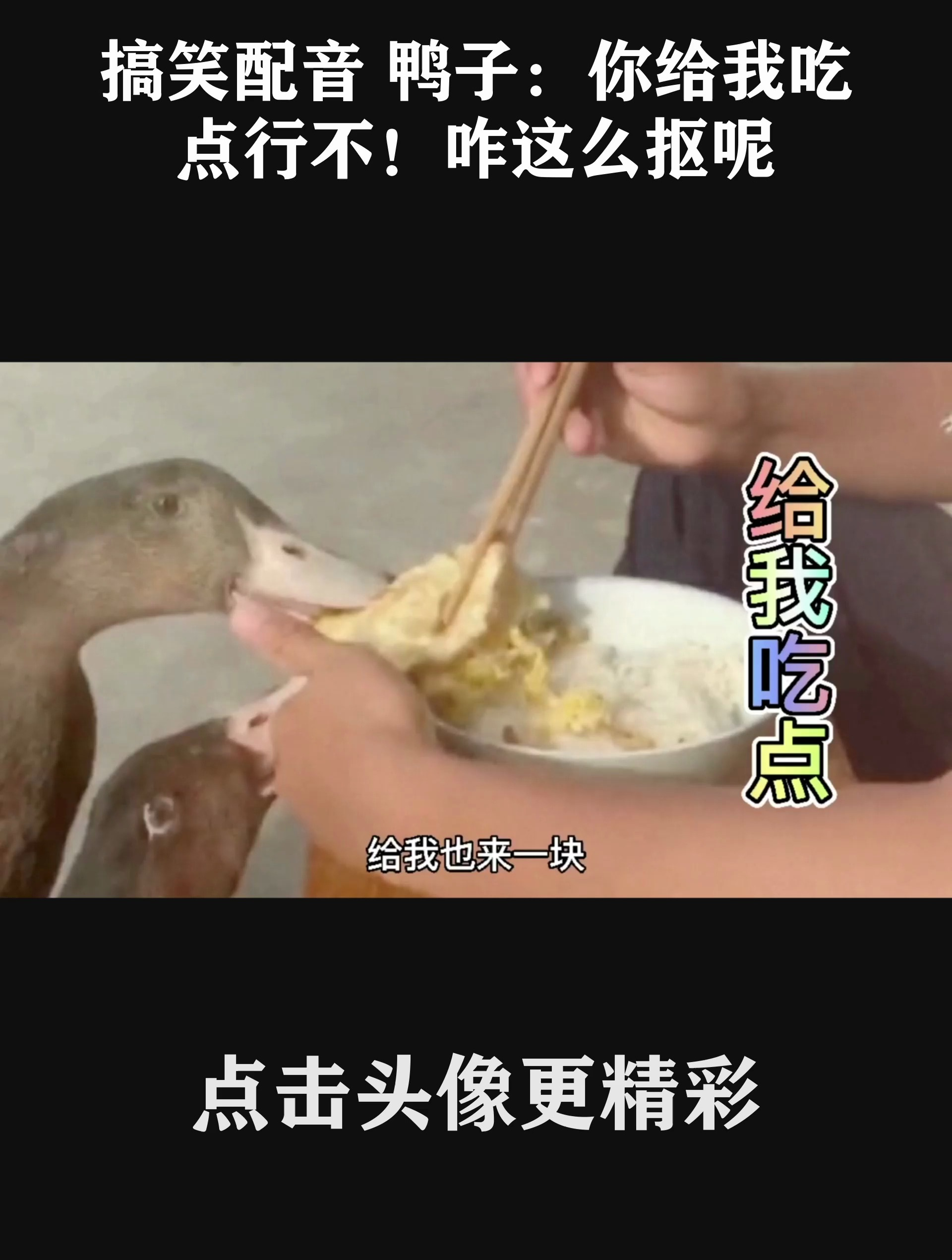 搞笑配音 鸭子:你给我吃点行不!咋这么抠呢