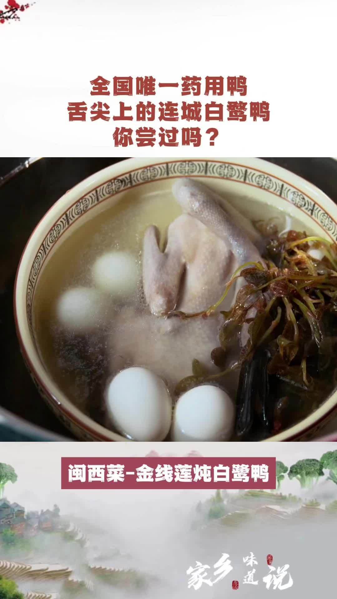 全国唯一药用鸭,舌尖上的连城白鹜鸭,你尝过吗?