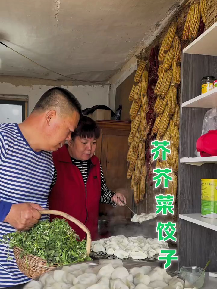 芥芥菜饺子好吃吗?