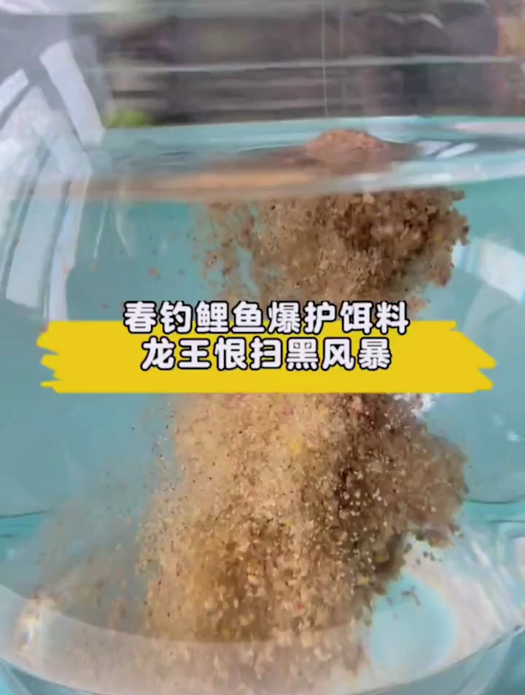 钓鲤鱼应该用什么饵料?看视频带你了解爆护技巧!