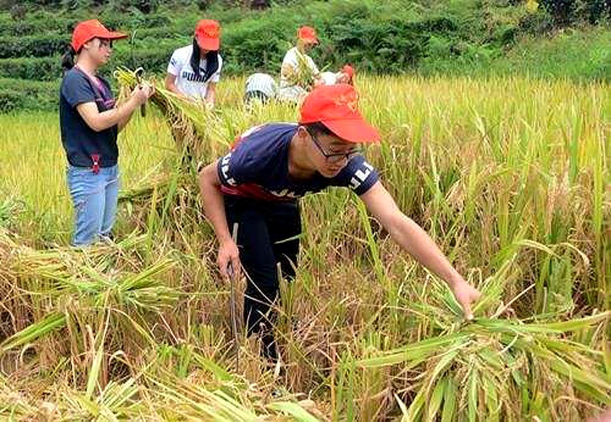 [图]教育要从娃娃抓起!普通高中劳动成必修课,共6个学分为必修学分