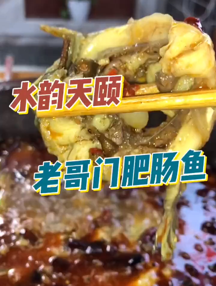 毕节这家肥肠鱼真的太安逸了