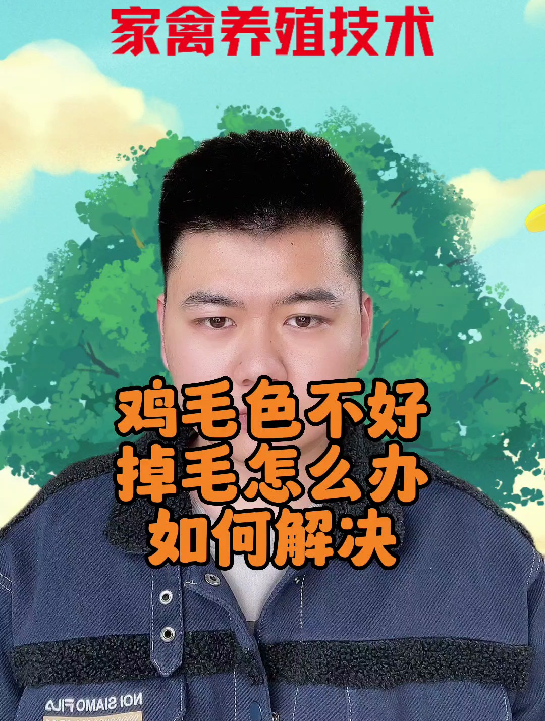 如何让鸡变得毛色光亮 怎么解决鸡毛凌乱或蓬松
