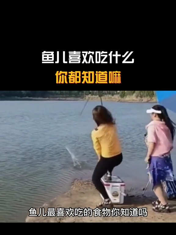 鱼儿喜欢吃什么你都知道吗