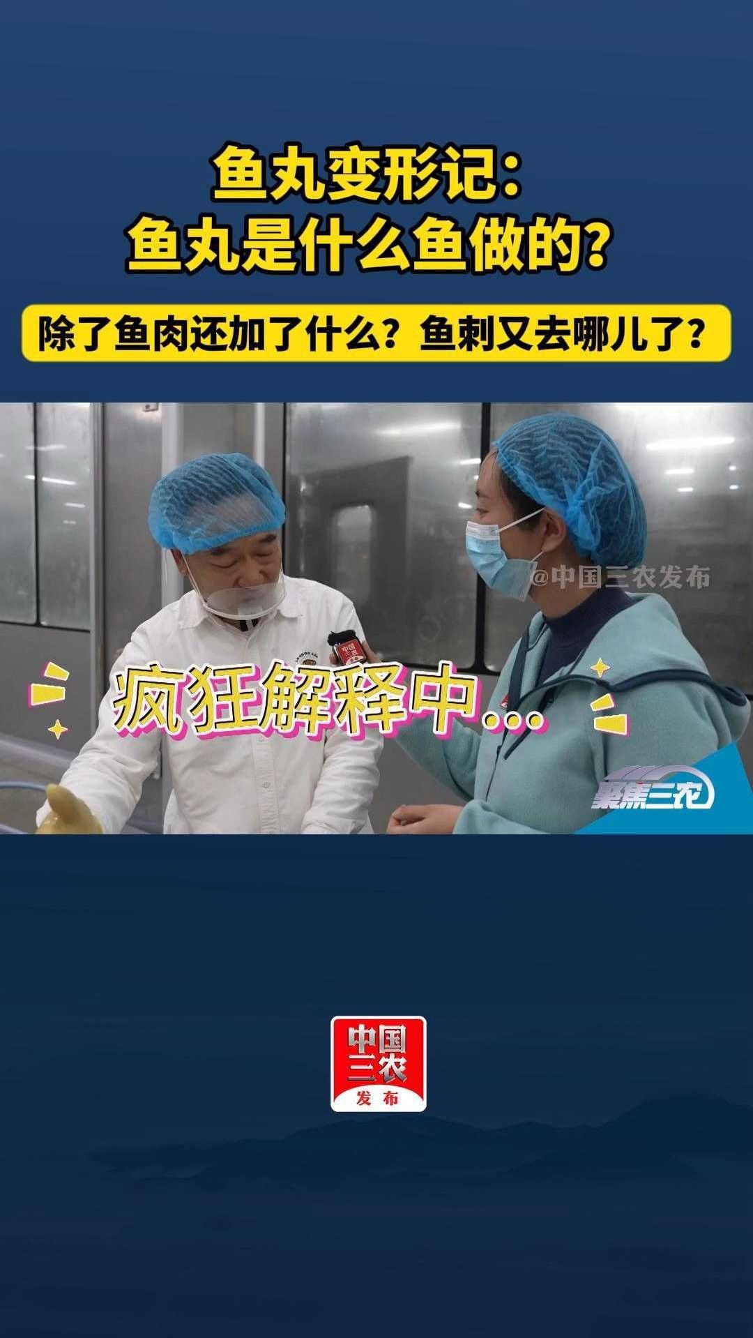 鱼丸变形记:鱼丸是什么鱼做的?