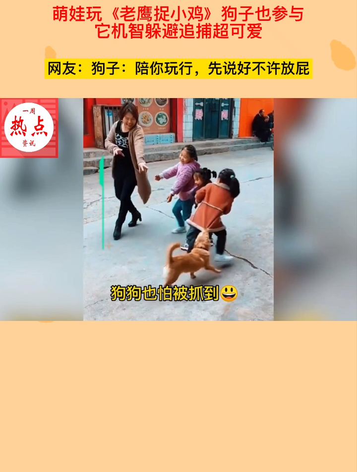 萌娃玩《老鹰捉小鸡》狗子也参与,它机智躲避追捕超可爱