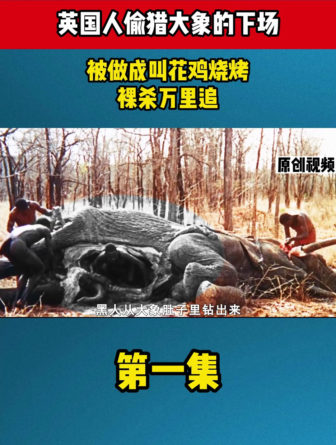 英国人偷猎大象的下场,被做成叫花鸡烧烤,裸杀万里追1