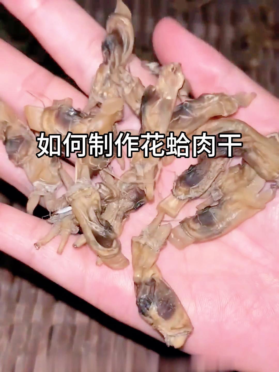 如何制作花蛤肉干