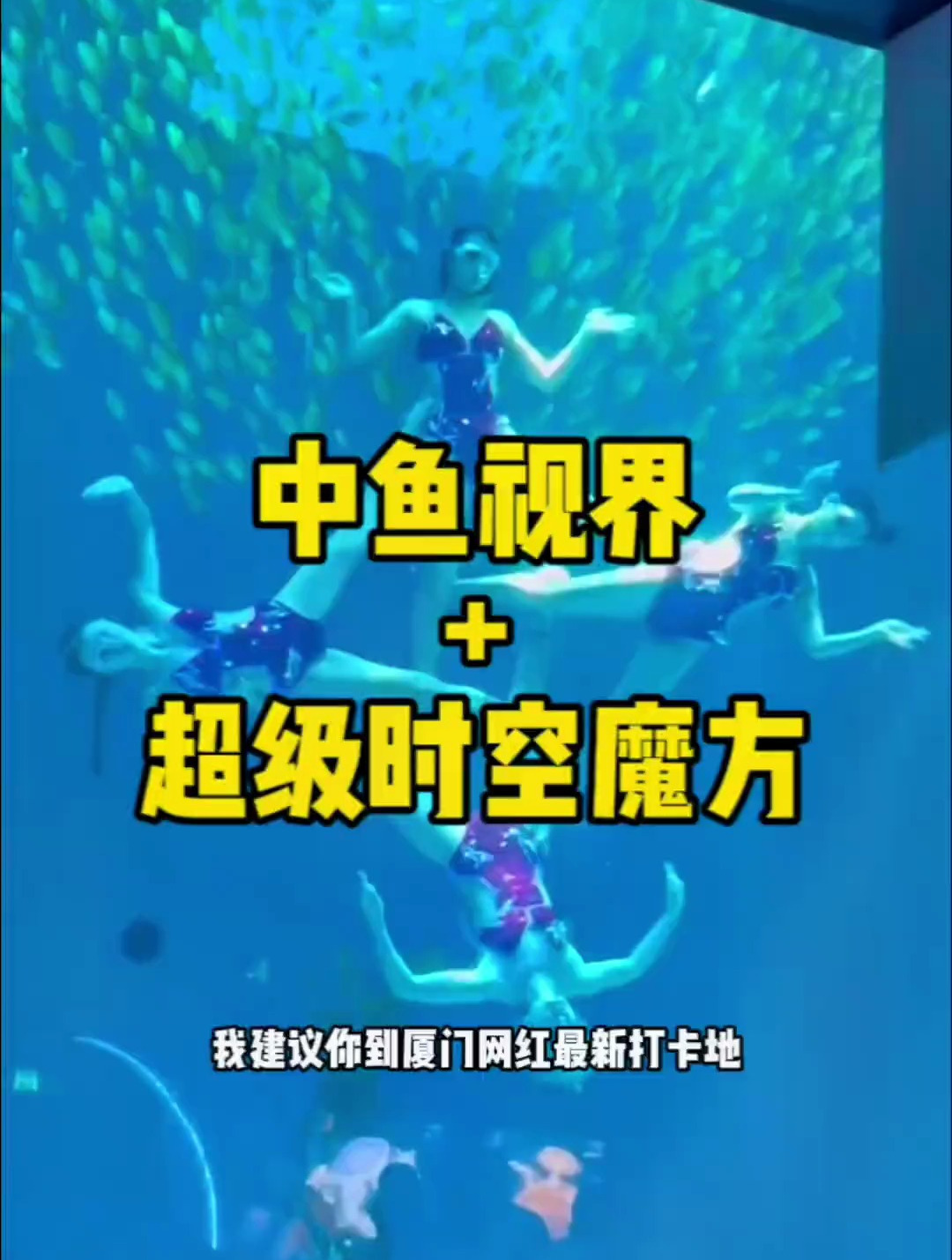 来厦门旅游千万不要错过了中鱼视界海洋王国