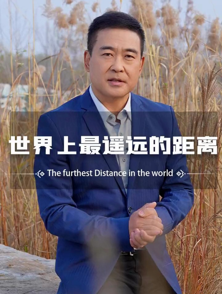 世上最遥远距离,是飞鸟与鱼的距离,一个翱翔天际一个却深潜海底