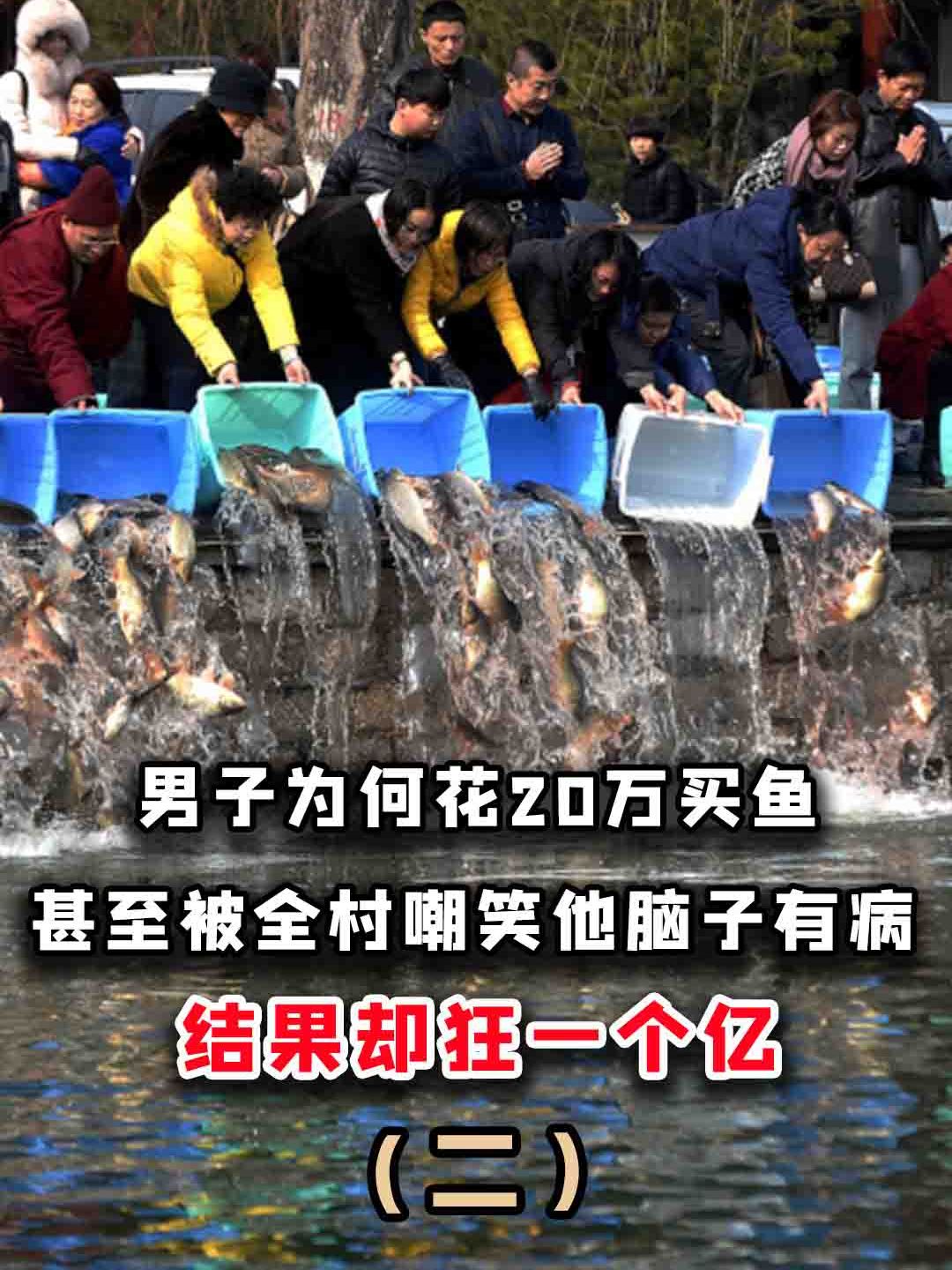 男子为何花20万买鱼,甚至被全村嘲笑他脑子有病,结果却狂一个亿
