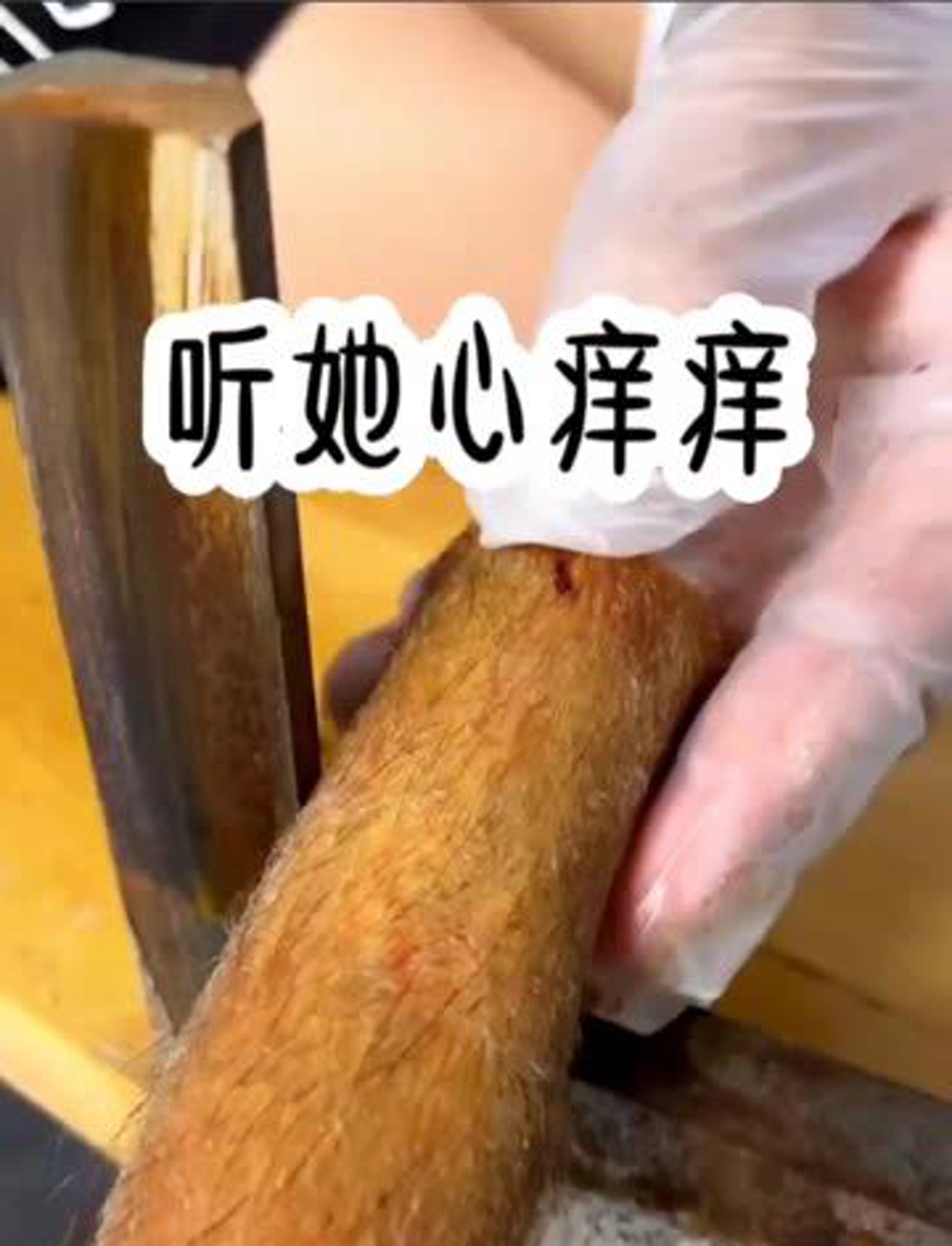 面包师与咖啡师的甜蜜