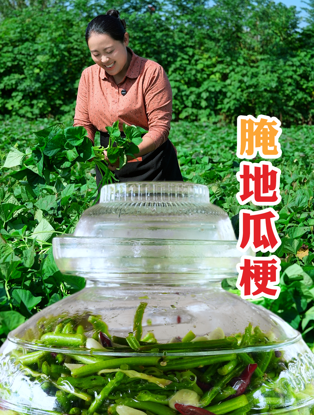 超级下饭的小菜——腌地瓜梗!它不仅做法简单,而且口感爽脆
