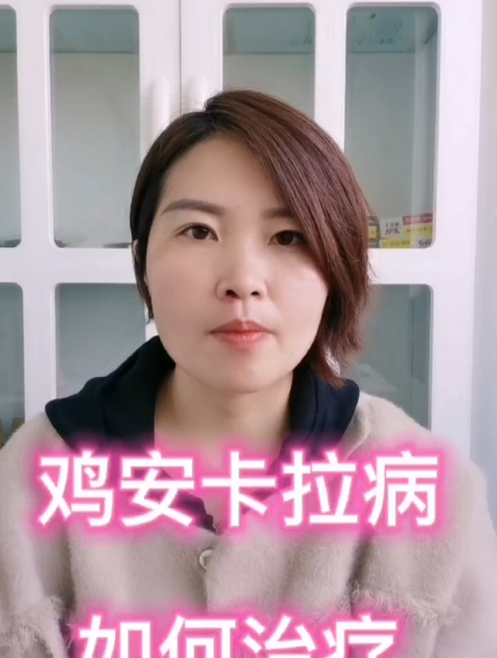禽医静心鸡安卡拉病的症状、鸡安卡拉病如何治疗