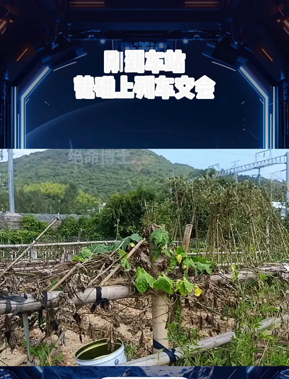 刚到车站,就碰上列车交会