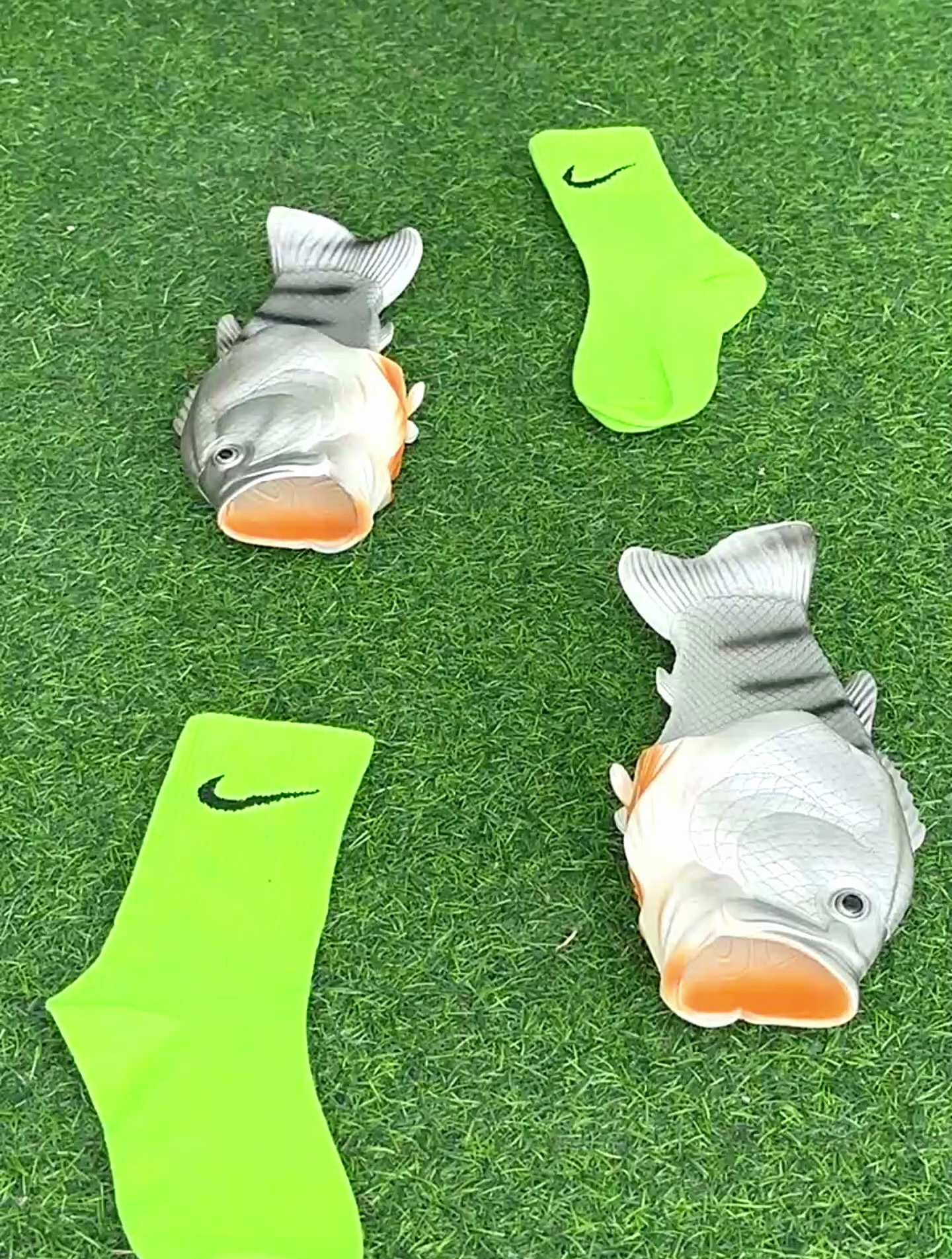 解压玩具:好看又有趣的白鲤鱼凉鞋和绿袜子