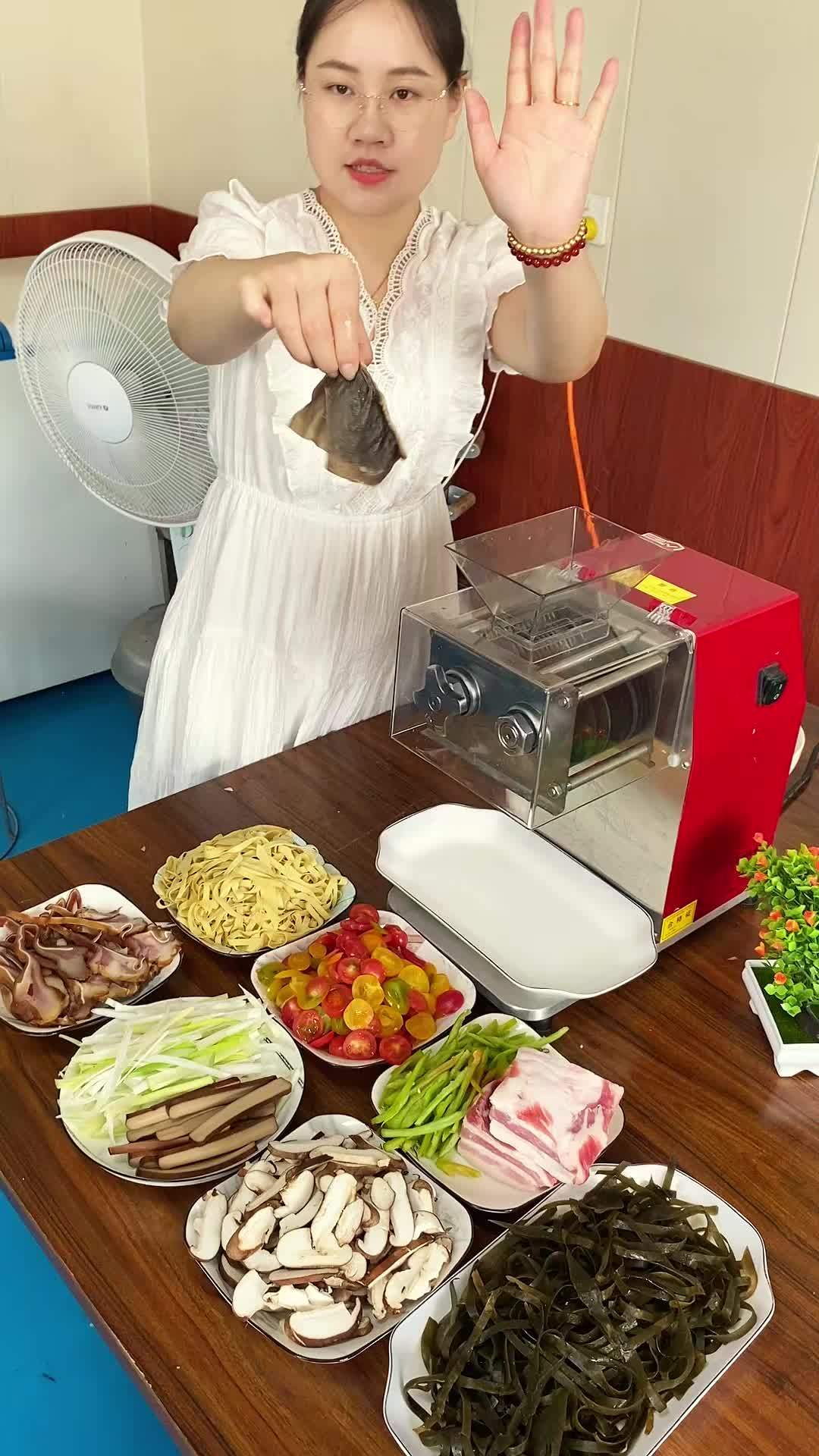 小型切肉片机 小型切肉机 切肉机