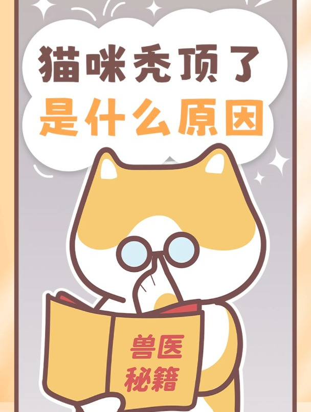 我家猫秃顶了咋回事啊?竟然是因为……