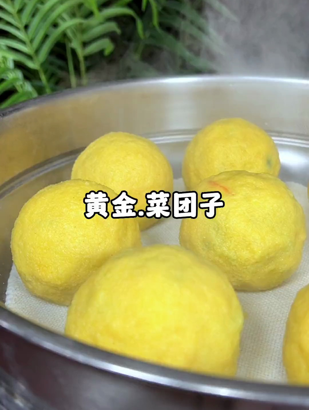 又到了吃野菜的季节