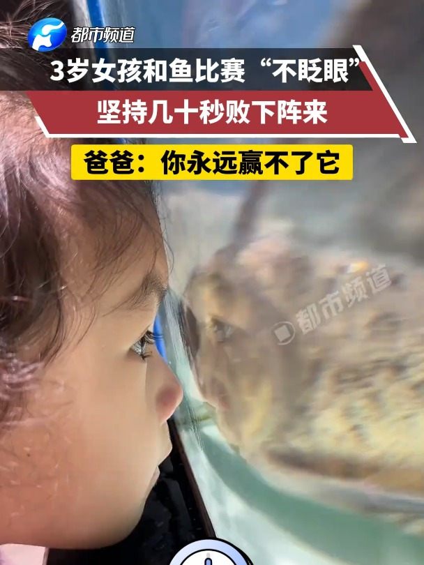 3岁女孩和鱼比赛“不眨眼”,坚持几十秒败下阵来。爸爸:你永远赢不了它……