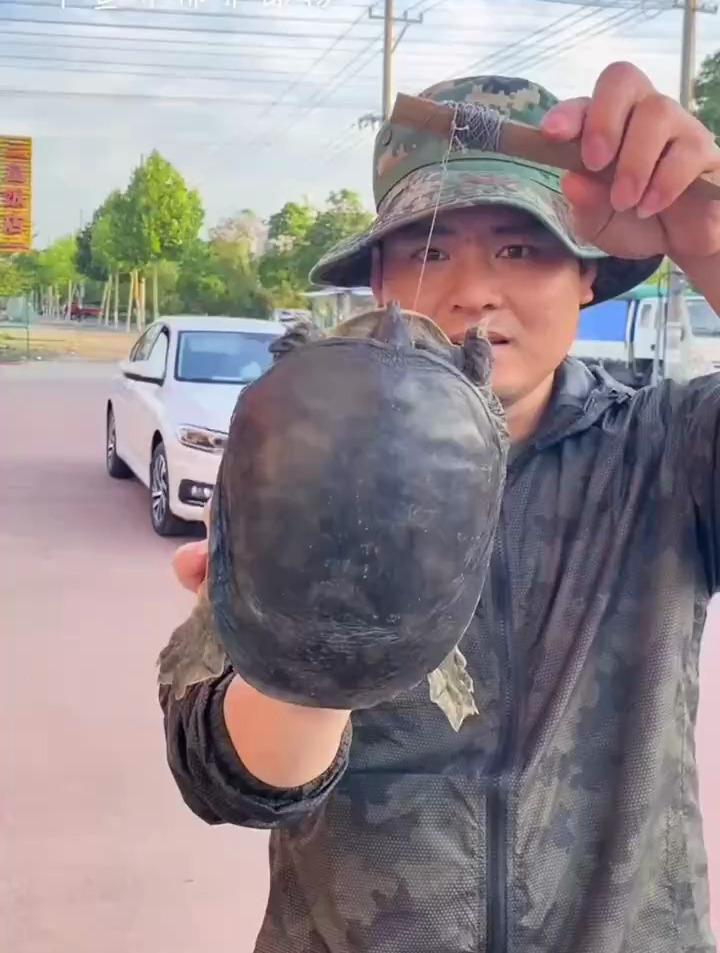 河里的甲鱼抓不到?厂家推出第三代“捕甲鱼神器”,天天吃鸡甲鱼