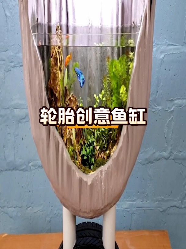 路边捡到的轮胎,把它废物利用改造一下,变成漂亮的轮胎创意鱼缸
