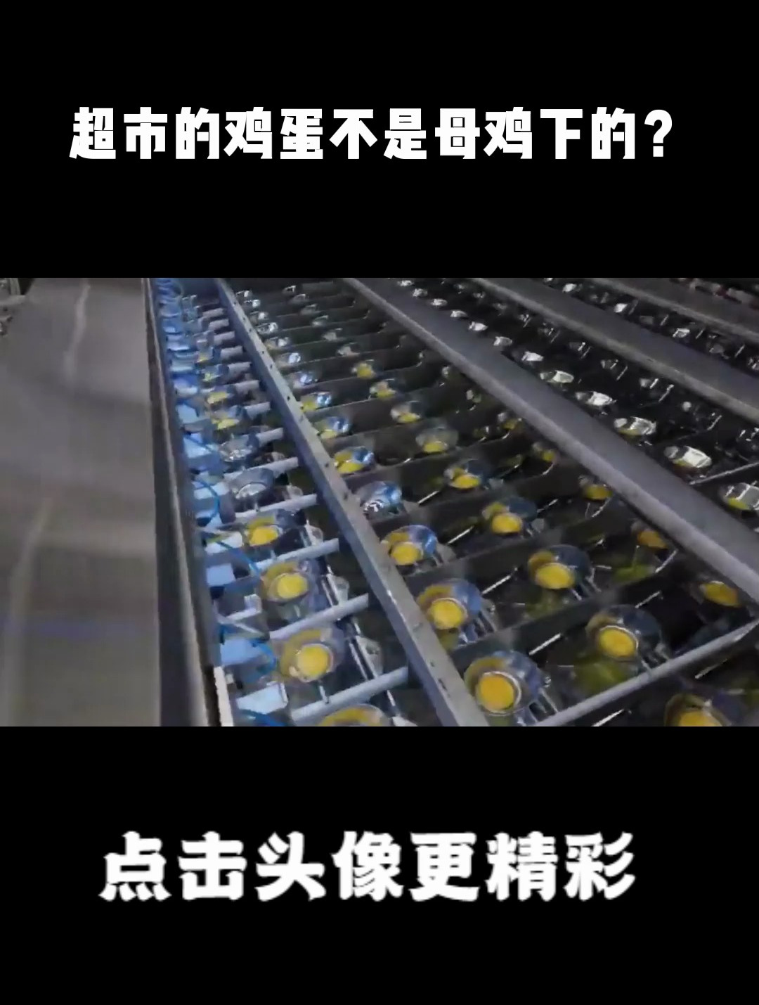 超市的鸡蛋不是母鸡下的?实拍工厂生产鸡蛋全程,看完明白了
